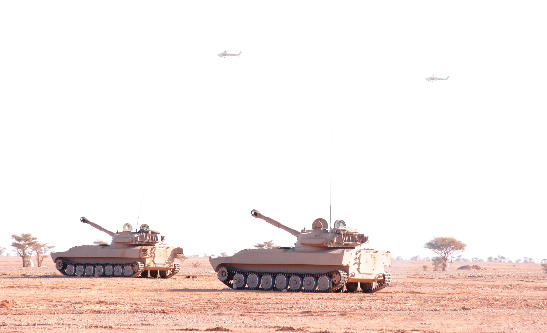 阿尔及利亚甲级联赛