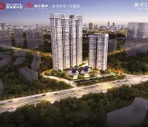 开云中国-缅因猫好养吗和寿命和粘人程度