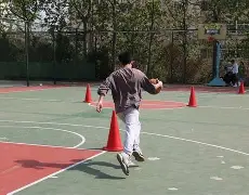 缅因猫好养吗和寿命和粘人程度