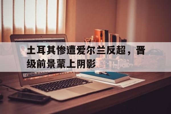 开云登陆入口-土耳其和爱尔兰